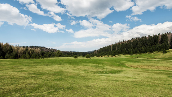 Terrain